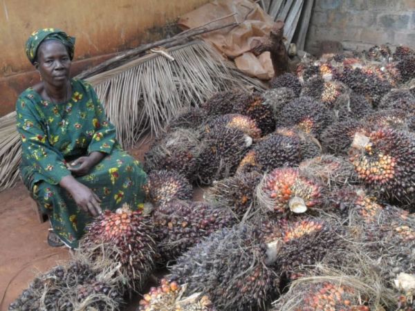 Loan image thumbnail 0