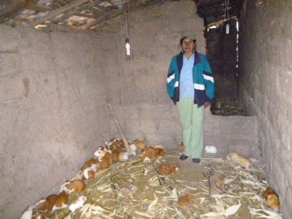 Loan image thumbnail 1