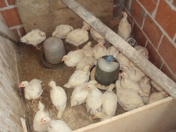 Loan image thumbnail 1