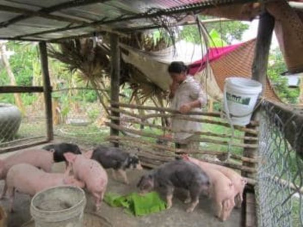 Loan image thumbnail 1