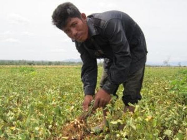 Loan image thumbnail 2
