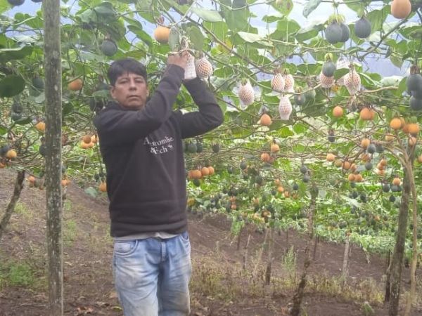 Loan image thumbnail 0