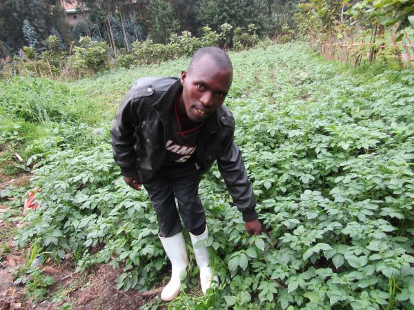 NSABABERA | Microfinance from CARE International UK