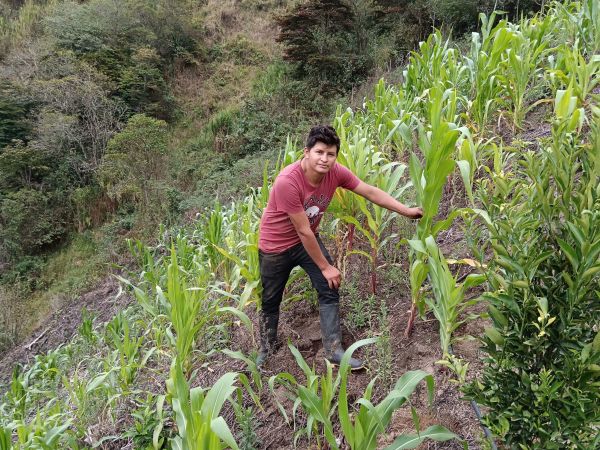 Loan image thumbnail 0