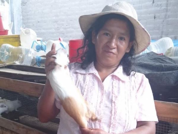 Loan image thumbnail 1