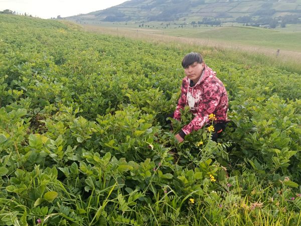 Loan image thumbnail 1