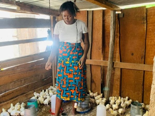 Loan image thumbnail 1