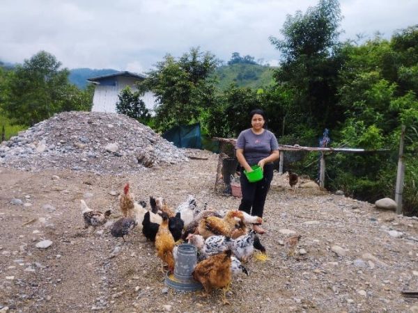 Loan image thumbnail 0