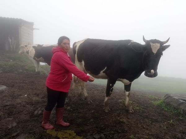 Loan image thumbnail 1