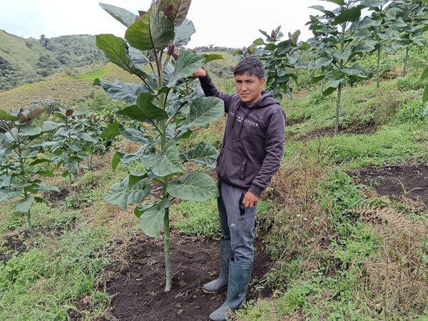 Loan image thumbnail 0