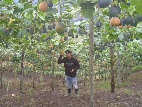 Loan image thumbnail 2