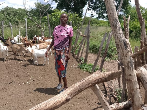 Loan image thumbnail 1