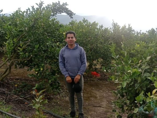 Loan image thumbnail 0