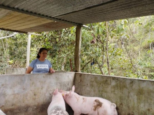 Loan image thumbnail 0