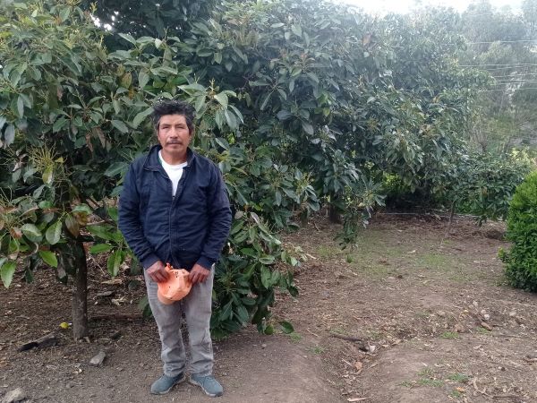 Loan image thumbnail 0