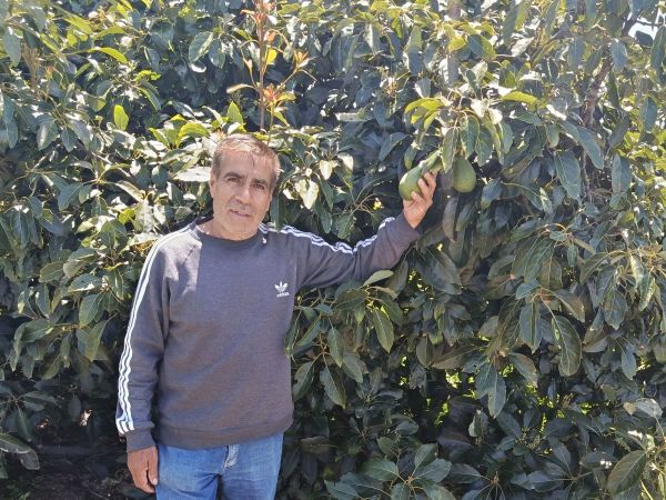 Loan image thumbnail 0