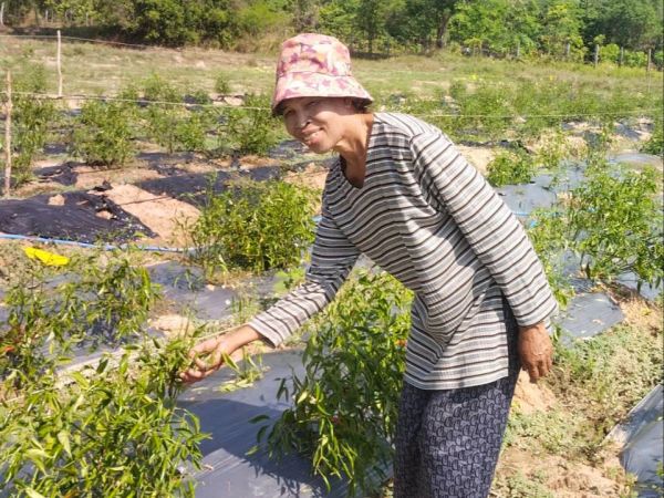 Loan image thumbnail 1