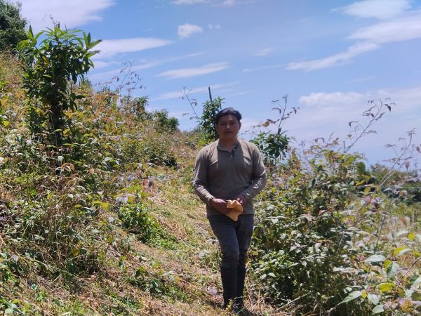 Loan image thumbnail 3