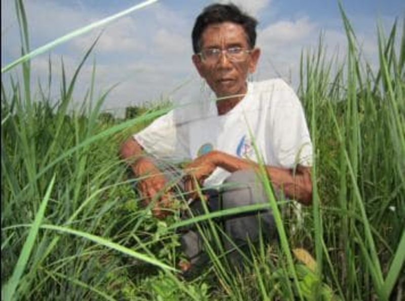 Loan image 1