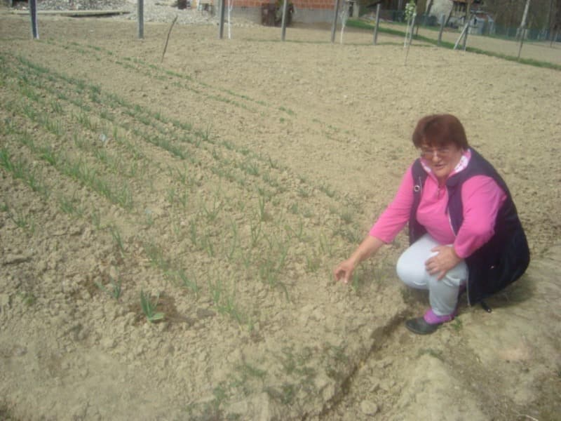 Loan image 0