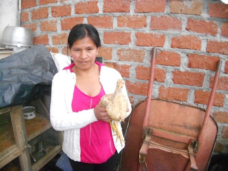 Loan image 0
