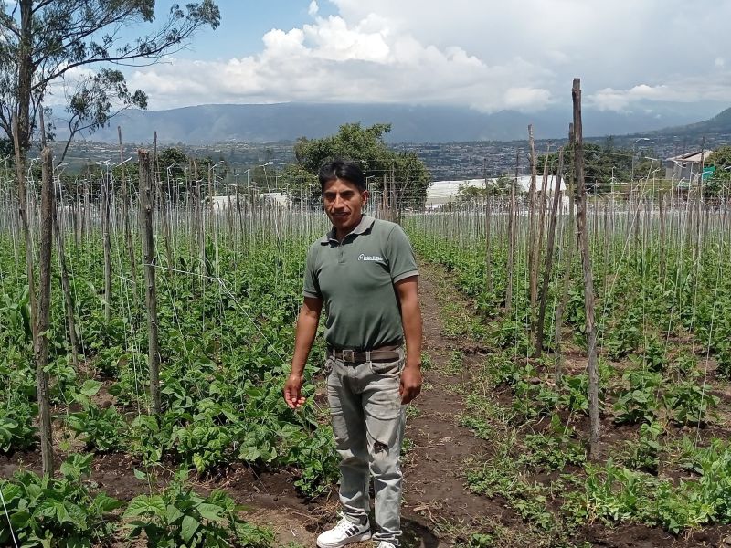 Jose Antonio