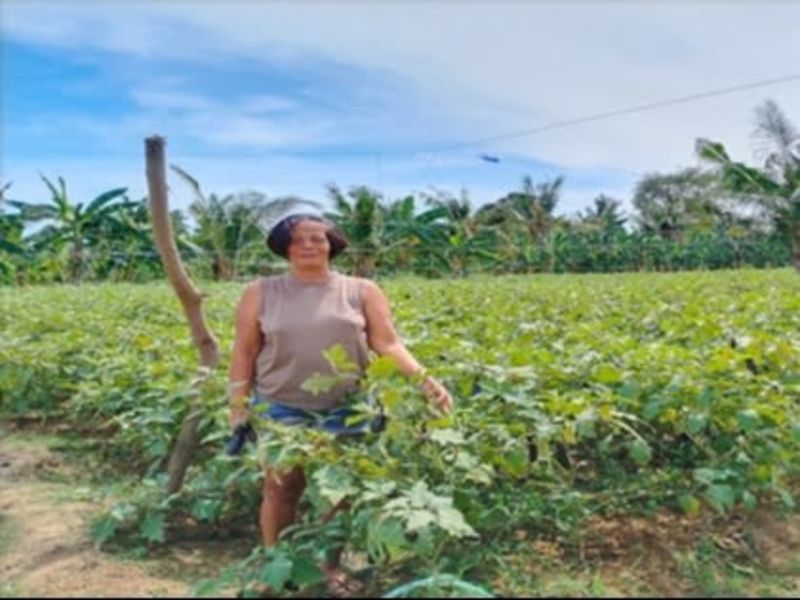 Maria Amor | Microfinance from CARE International UK