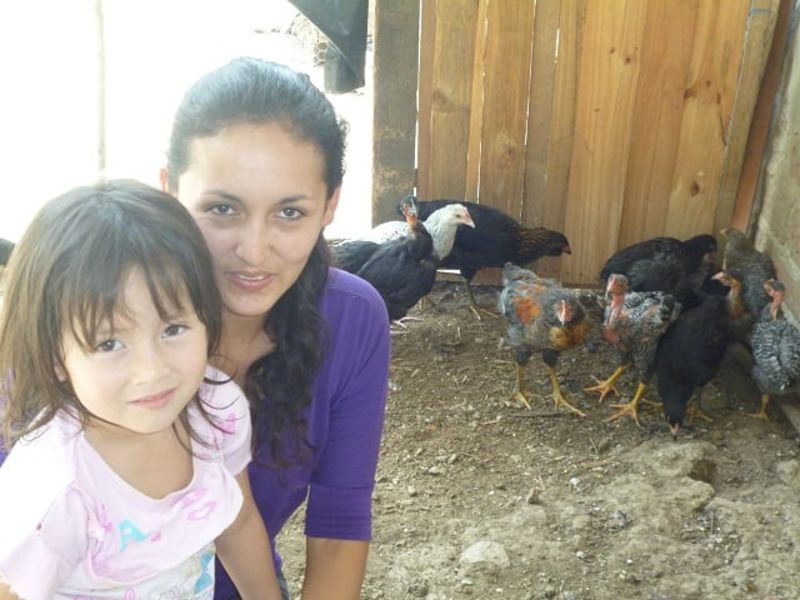 Update on Elvia Rodríguez