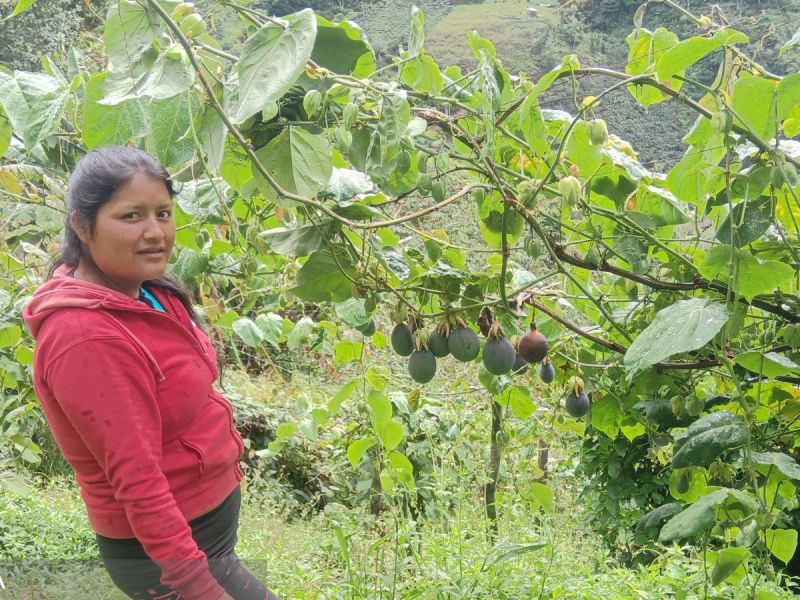 Zulma fulfilled her dream: to secure the ownership of her land.