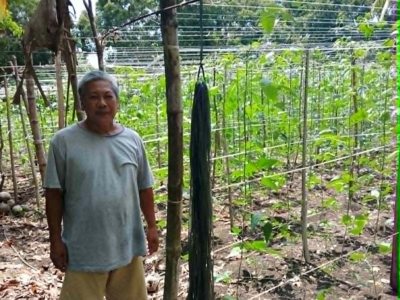 With the help of the loan, Edwin can continue his farming activities.