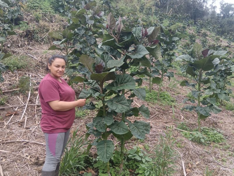 Carmen has strengthened her business in order to educate her young children.