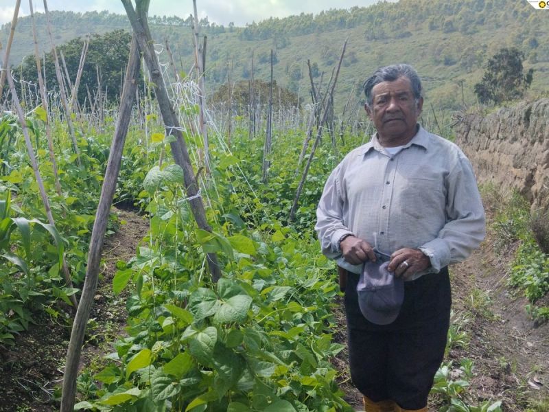 Luis Enrique shares his agricultural knowledge with the next generation.