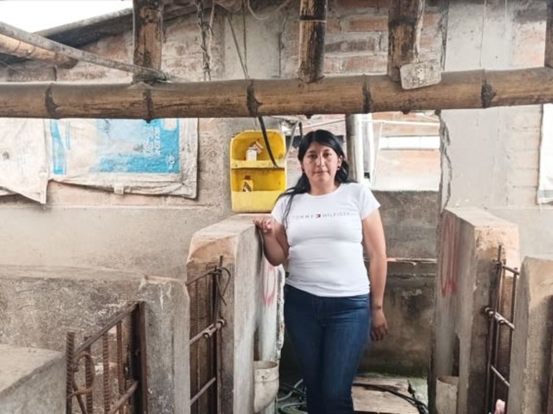 Evelyn managed to improve the infrastructure of her pig farming business.