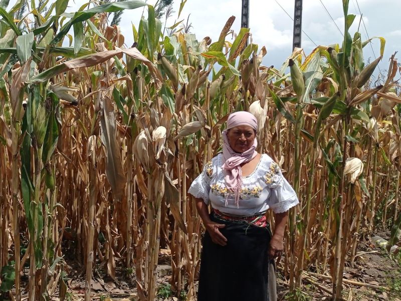 Maria and her husband overcame their struggle to achieve a better future for their family.