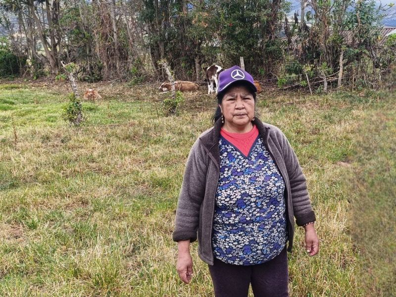 With her loan, Dolores has managed to improve her income and increase her family's assets