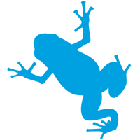 Bluefrogs