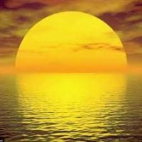 Sunnymeed
