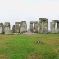 How does your garden grow