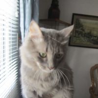 William