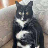 Peter