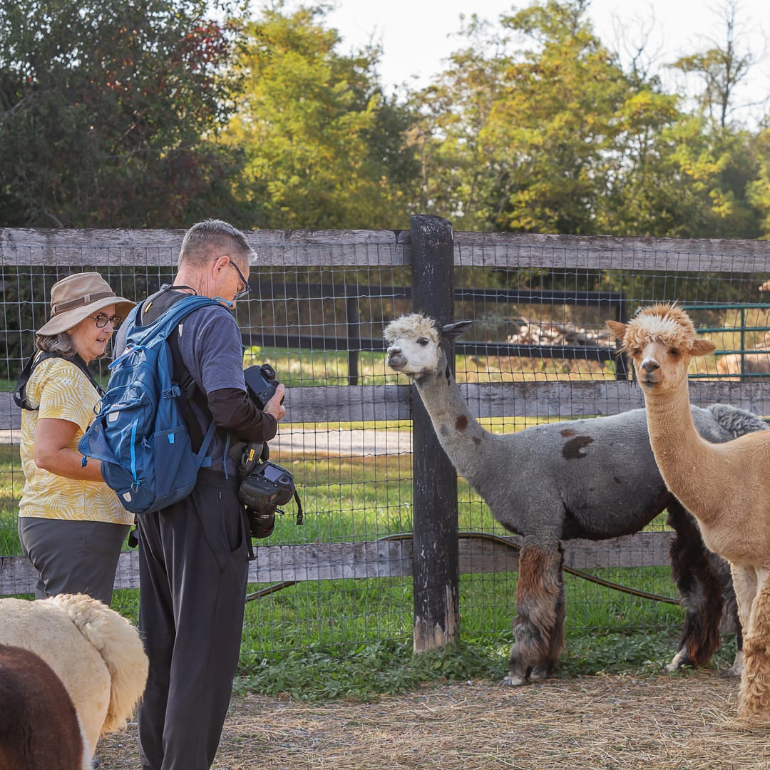The SHED at Chetwyn Farms Visit the County