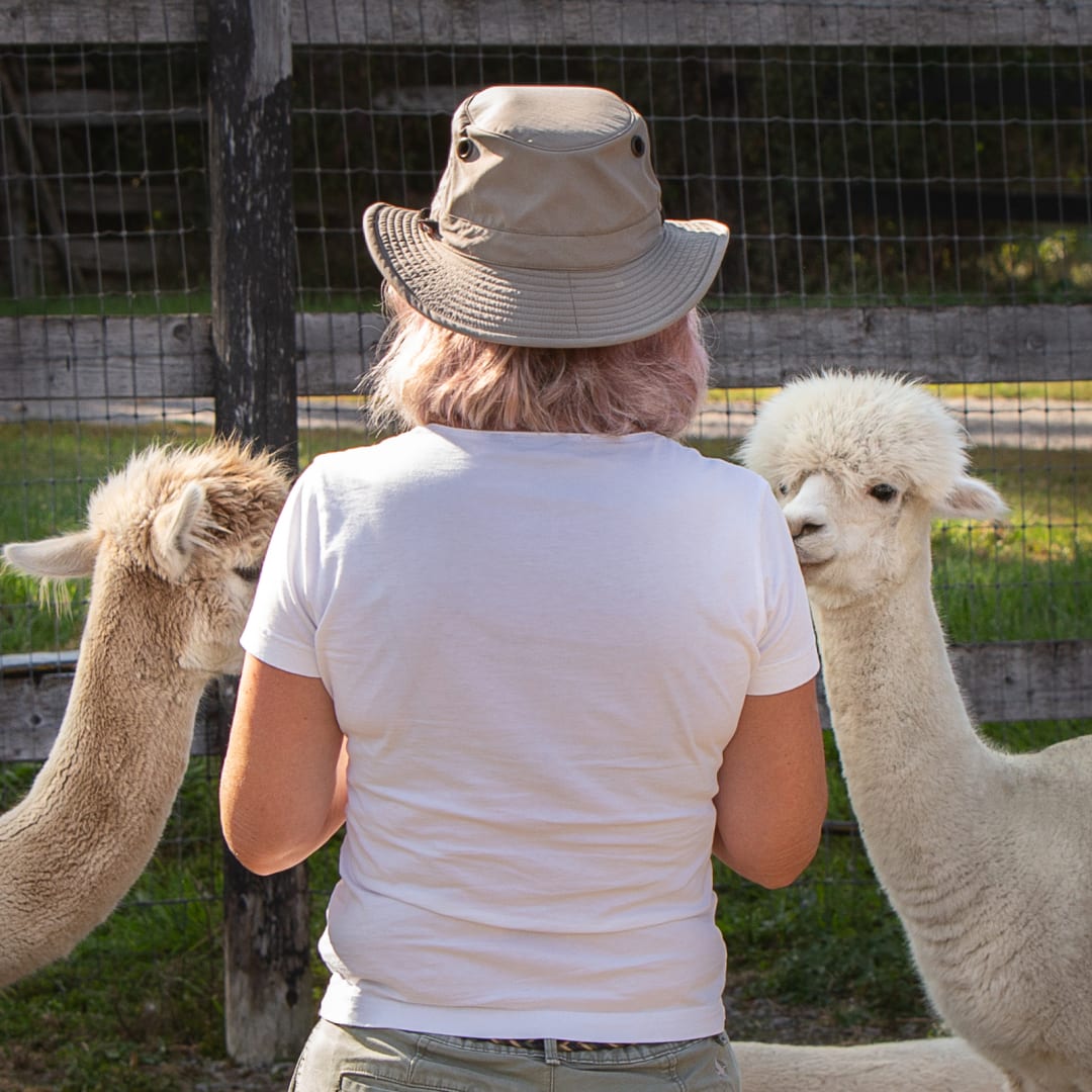 The SHED at Chetwyn Farms Visit the County