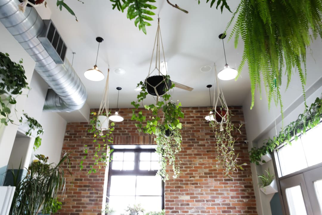 555 Brewing Co Sunday Arvo Session