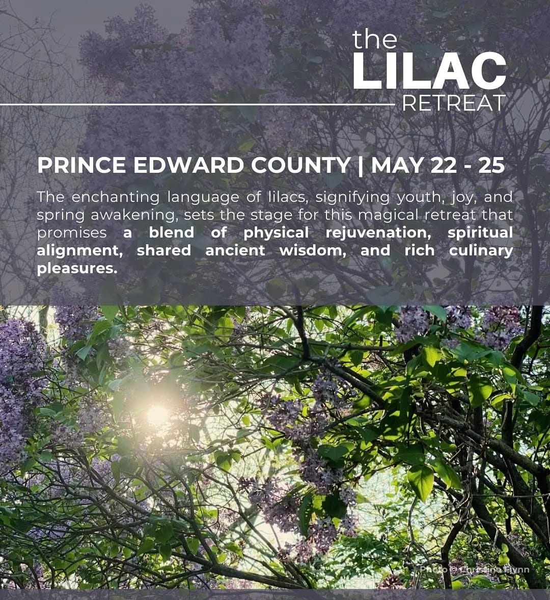 The Lilac Retreat