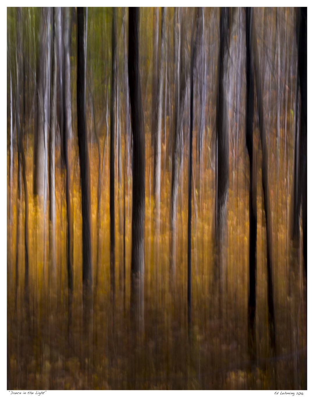 Wooden Movements - Solo Show by Ed Lehming