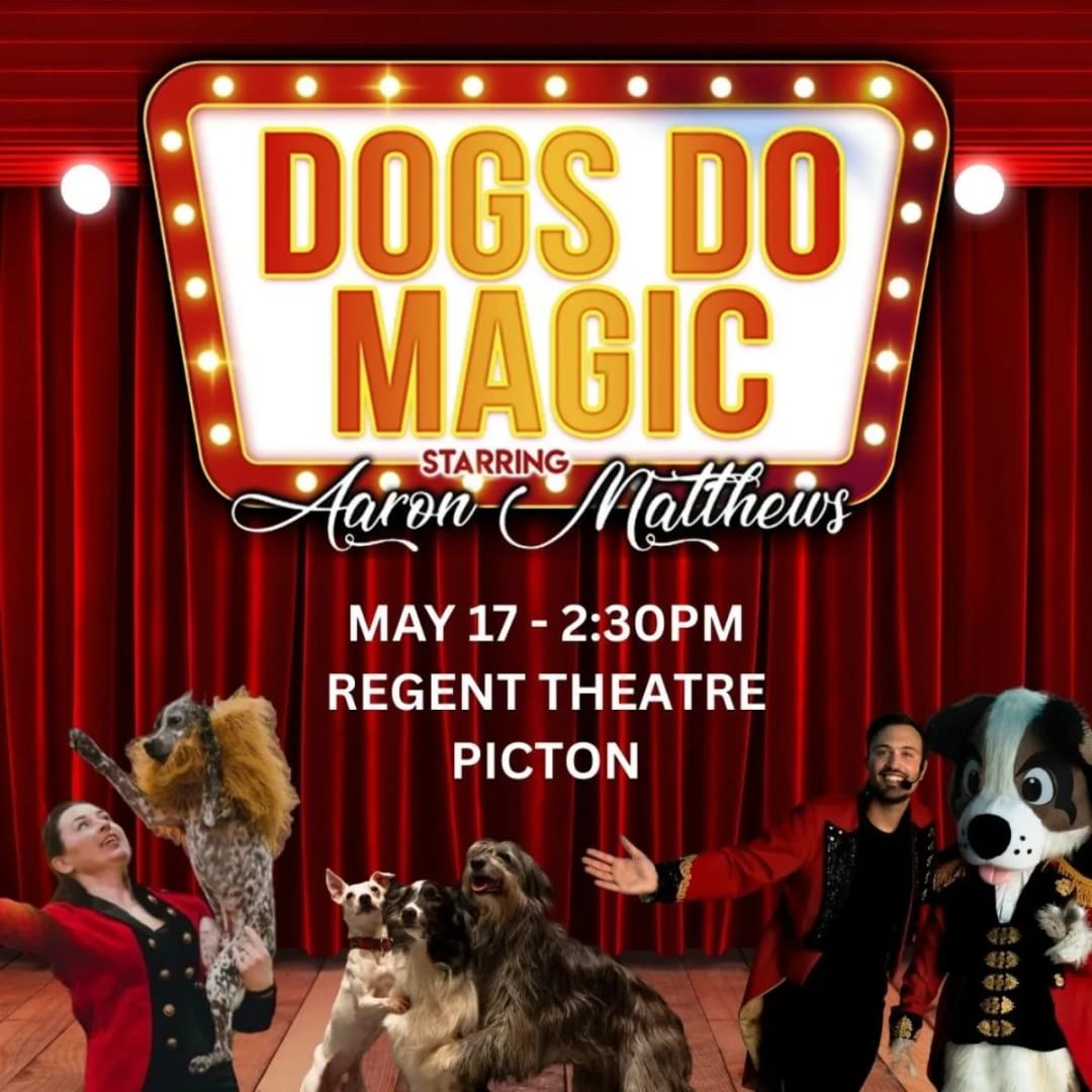 Dogs Do Magic starring Aaron Matthews