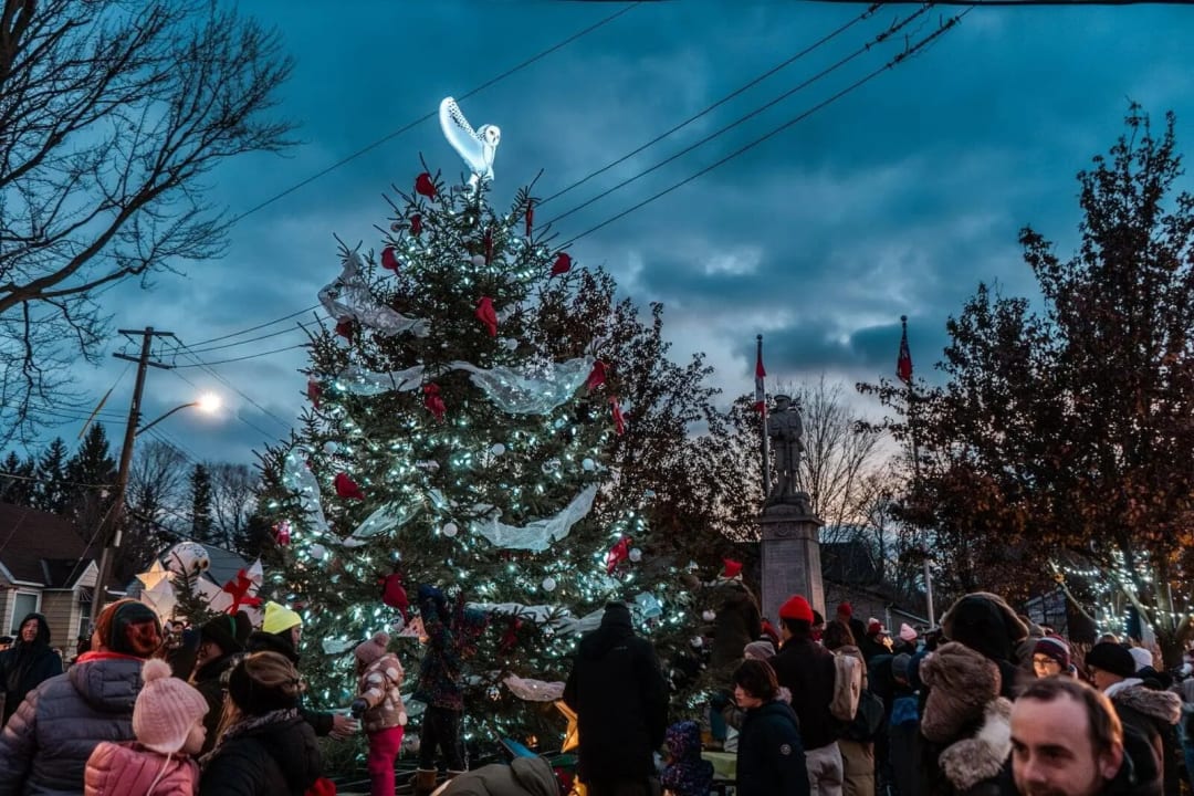Department of Illumination Christmas Tree Lighting Cenotaph 