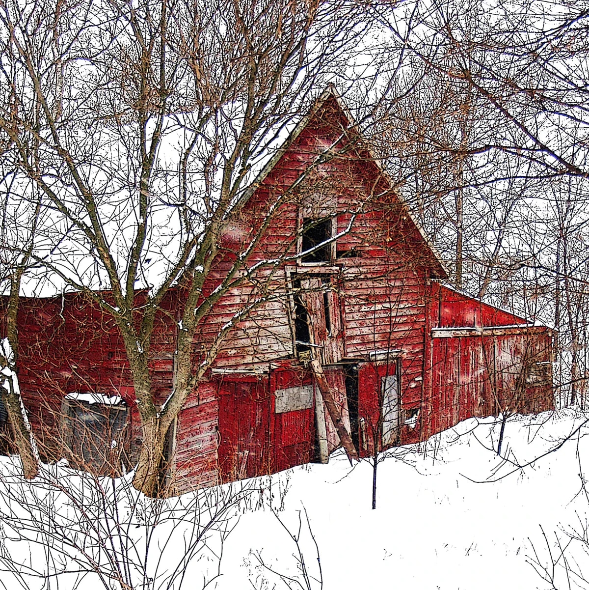 The Red Barn (Prince Edward County, ON) © Tara Wilkinson, ANDARA Gallery
