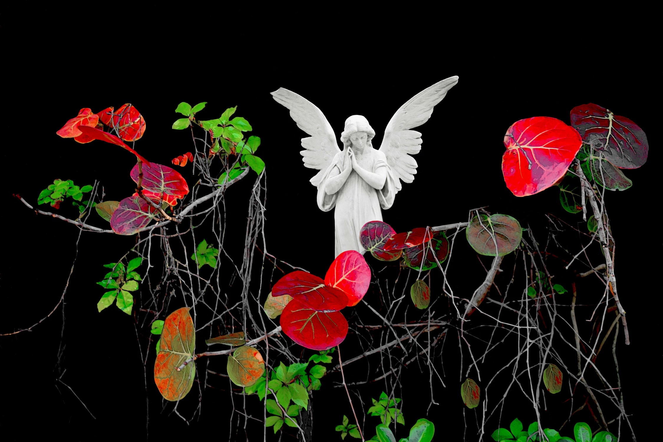 ANDARA Gallery presents “BOTANICA” exhibition and sale of contemporary fine art paintings, photographs and digital art celebrating the garden by Canadian artists Tara Wilkinson and Andrew Csafordi. Photo Credit: “IN THE GARDEN OF GOOD & EVIL" © Tara Wilkinson.
