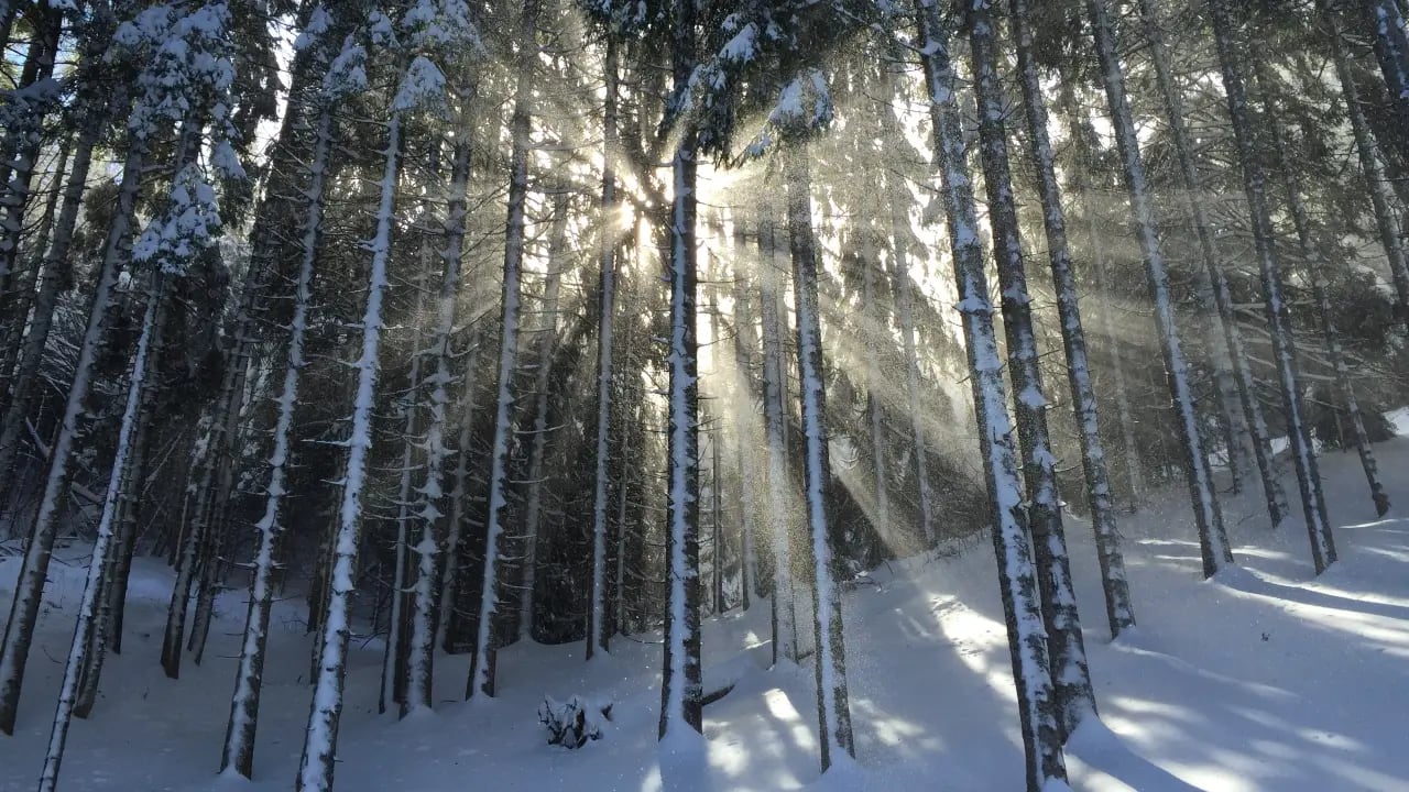 winter preparation
